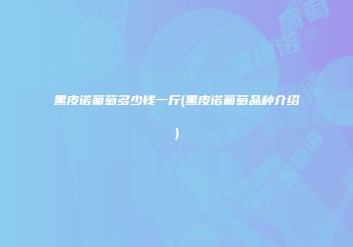 黑皮诺葡萄多少钱一斤(黑皮诺葡萄品种介绍)