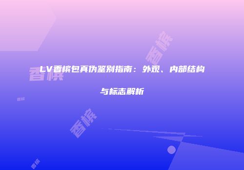 LV香槟包真伪鉴别指南：外观、内部结构与标志解析