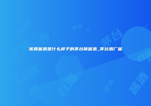 优质酱酒是什么样子的茅台镇酱酒_茅台酒厂酱