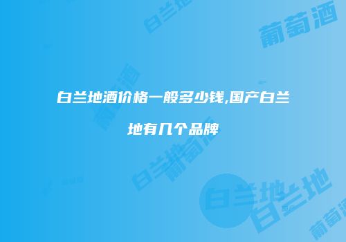 白兰地酒价格一般多少钱,国产白兰地有几个品牌