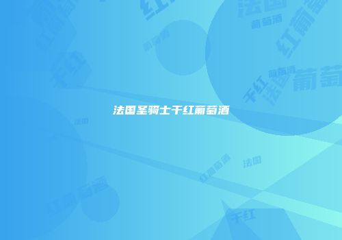 法国圣骑士干红葡萄酒