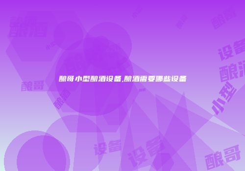 酿哥小型酿酒设备,酿酒需要哪些设备