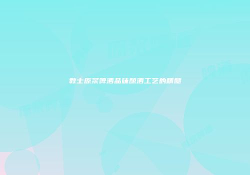 教士原浆啤酒品味酿酒工艺的精髓