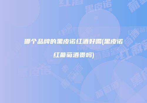 哪个品牌的黑皮诺红酒好喝(黑皮诺红葡萄酒贵吗)