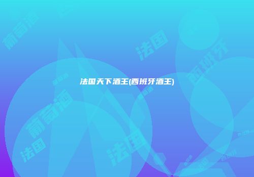 法国天下酒王(西班牙酒王)