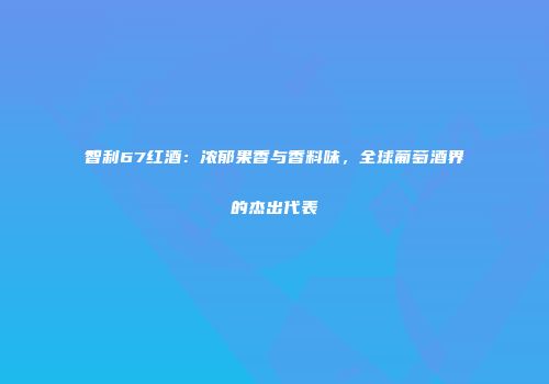 智利67红酒：浓郁果香与香料味，全球葡萄酒界的杰出代表