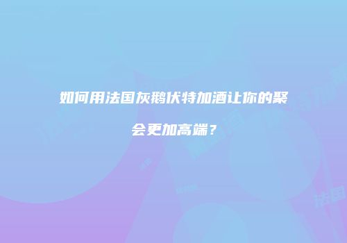 如何用法国灰鹅伏特加酒让你的聚会更加高端？