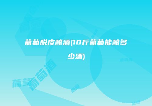 葡萄脱皮酿酒(10斤葡萄能酿多少酒)