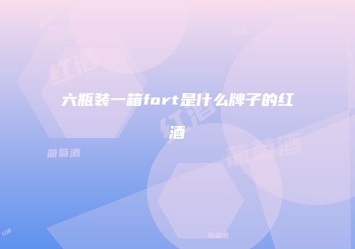 六瓶装一箱fort是什么牌子的红酒