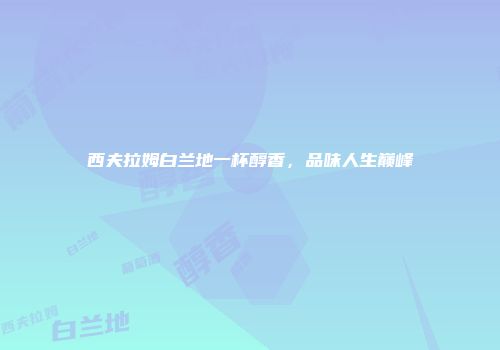 西夫拉姆白兰地一杯醇香，品味人生巅峰