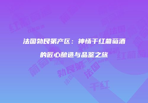 法国勃艮第产区：神情干红葡萄酒的匠心酿造与品鉴之旅