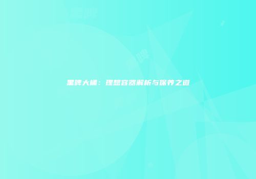 黑啤大桶：理想容器解析与保养之道