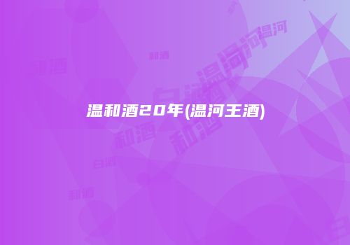 温和酒20年(温河王酒)