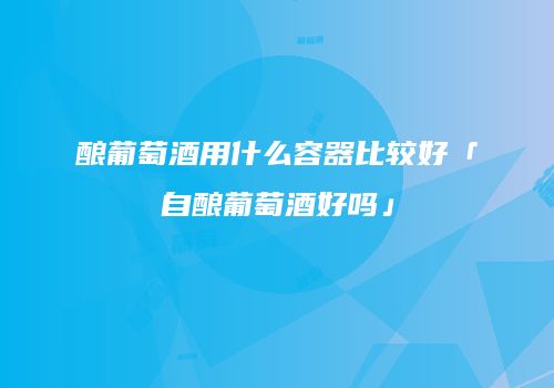 酿葡萄酒用什么容器比较好「自酿葡萄酒好吗」
