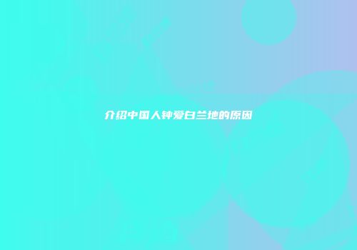 介绍中国人钟爱白兰地的原因