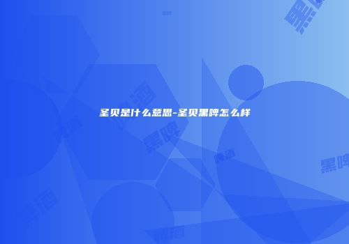 圣贝是什么意思-圣贝黑啤怎么样