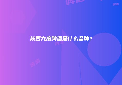 陕西九度啤酒是什么品牌？