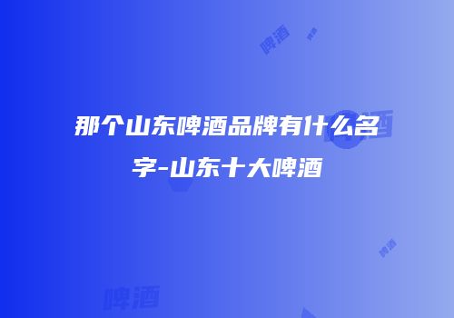 那个山东啤酒品牌有什么名字-山东十大啤酒