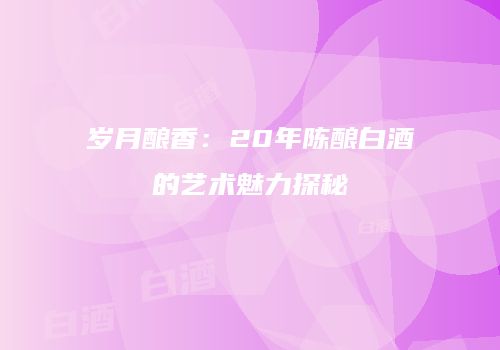 岁月酿香：20年陈酿白酒的艺术魅力探秘