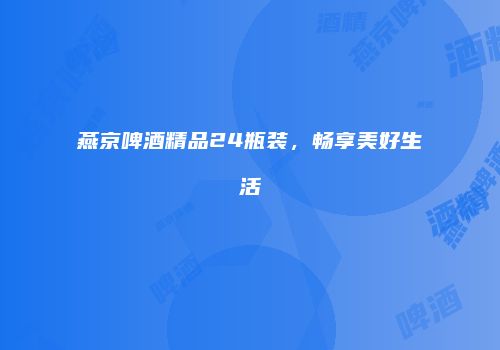燕京啤酒精品24瓶装，畅享美好生活