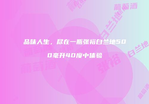 品味人生，尽在一瓶张裕白兰地500毫升40度中体验