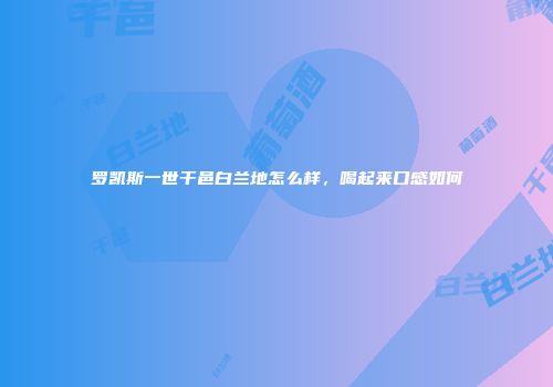 罗凯斯一世干邑白兰地怎么样，喝起来口感如何