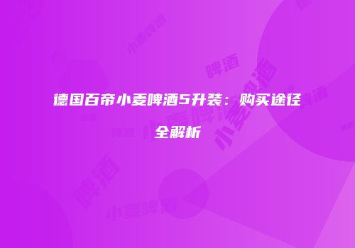 德国百帝小麦啤酒5升装：购买途径全解析