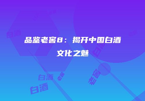 品鉴老窖8：揭开中国白酒文化之魅