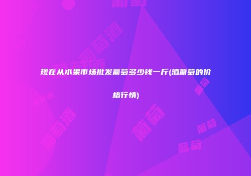 现在从水果市场批发葡萄多少钱一斤(酒葡萄的价格行情)