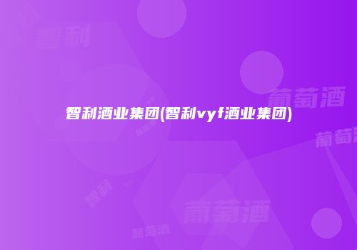 智利酒业集团(智利vyf酒业集团)
