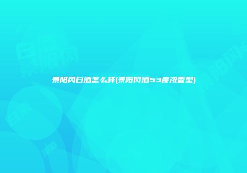 景阳冈白酒怎么样(景阳冈酒53度浓香型)