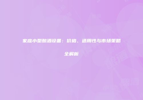 家庭小型酿酒设备：价格、适用性与市场策略全解析