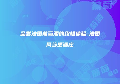 品尝法国葡萄酒的终极体验-法国风莎堡酒庄