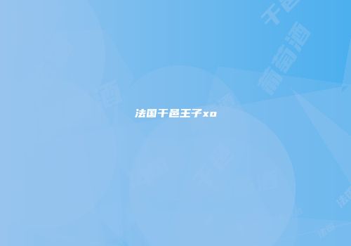 法国干邑王子xo