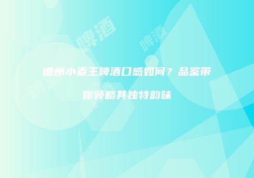 德州小麦王啤酒口感如何？品鉴带你领略其独特韵味