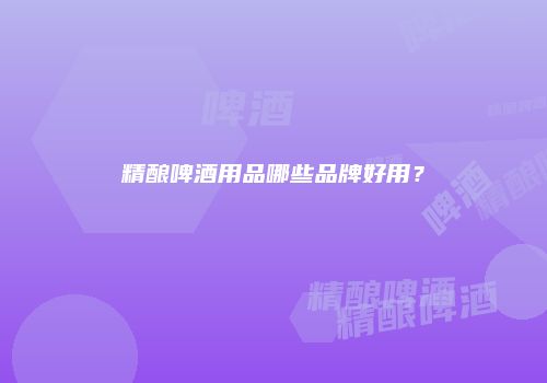 精酿啤酒用品哪些品牌好用？