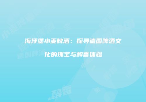 海浮堡小麦啤酒：探寻德国啤酒文化的瑰宝与醇香体验