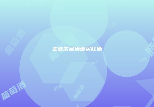 去波尔多当地买红酒