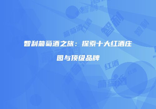 智利葡萄酒之旅：探索十大红酒庄园与顶级品牌