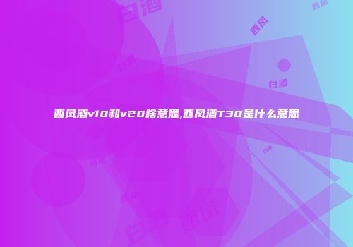 西凤酒v10和v20啥意思,西凤酒T30是什么意思