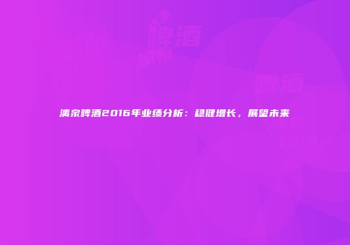 漓泉啤酒2016年业绩分析：稳健增长，展望未来
