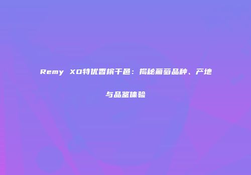 Remy XO特优香槟干邑：揭秘葡萄品种、产地与品鉴体验