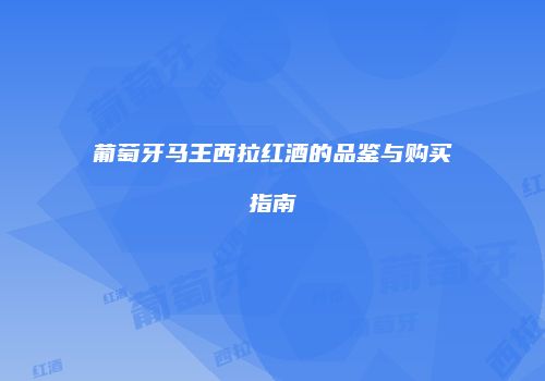 葡萄牙马王西拉红酒的品鉴与购买指南