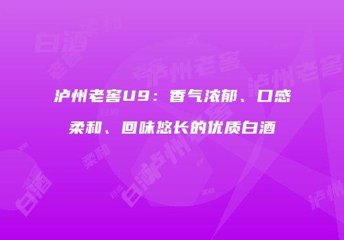 泸州老窖U9：香气浓郁、口感柔和、回味悠长的优质白酒