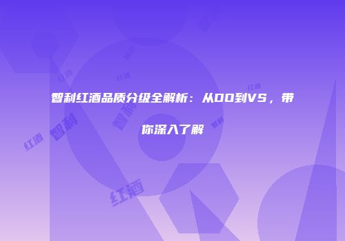 智利红酒品质分级全解析：从DO到VS，带你深入了解