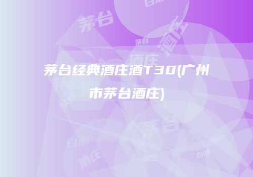 茅台经典酒庄酒T30(广州市茅台酒庄)