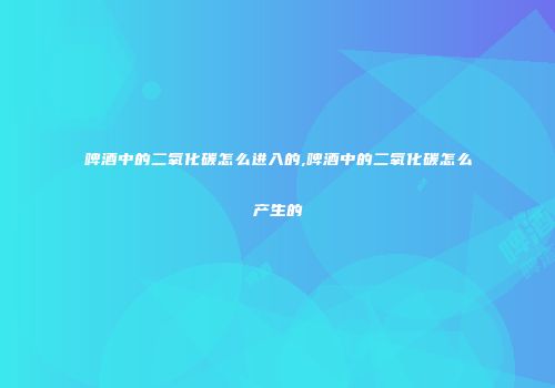 啤酒中的二氧化碳怎么进入的,啤酒中的二氧化碳怎么产生的