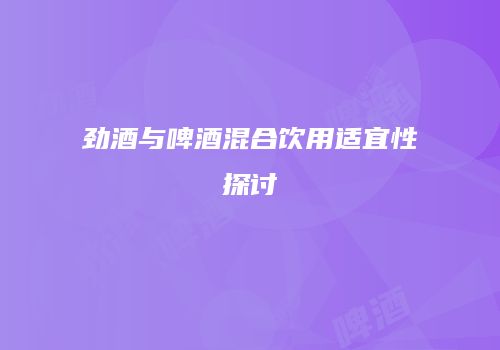 劲酒与啤酒混合饮用适宜性探讨