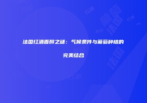 法国红酒香醇之谜：气候条件与葡萄种植的完美结合