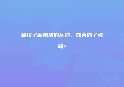 色拉子和梅洛的区别，你真的了解吗？